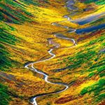 Profile Picture of Hodgson (@reuben_perry_priv) on Instagram