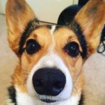 Profile Picture of Kenneth Pilcher (@kpilcher11) on Instagram