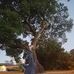 Profile Picture of James Vogel (@james.vogel.754) on Facebook
