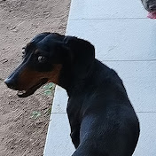 Profile Picture of Jorge Manuel León Cadima (@JorgeManuelLeoncadima) on Youtube