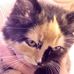 Profile Picture of Julie Torrey (@julie.torrey.3) on Facebook