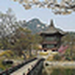 Profile Picture of Jeong G. Woo (@ej700) on Flickr