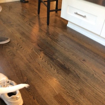 Profile Picture of Jack Shuster (@shuster_jack) on Twitter