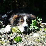 Profile Picture of Craig Kirkby (@cbkirkby) on Instagram