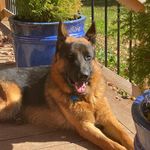 Profile Picture of Matthew Justus (@matthew_justus) on Instagram