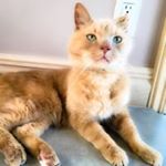 Profile Picture of Annette John Wieseler (@awieseler5) on Instagram