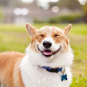 Profile Picture of Victor Vu (@VictorVu-zb7qd) on Youtube