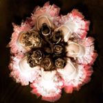 Profile Picture of Tippy Toes School Of Dance (@tippytoesschoolofdance) on Instagram