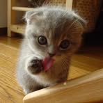 Profile Picture of Laura Spots (@laura.spots) on Facebook