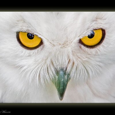 Profile Picture of Dave Whipkey (@whipxtreme20) on Twitter