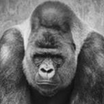 Profile Picture of 1 follower (@crowne17) on Instagram