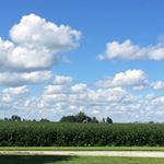 Profile Picture of Carson Barker (@_b_a_r_k_e_r_) on Instagram