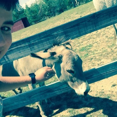Profile Picture of Sean Mandel (@lbm910) on Twitter