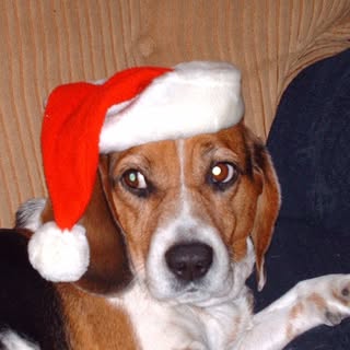 Profile Picture of Jason Sapienza (@jasonsapienza) on Instagram