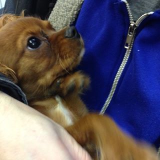 Benjamin Smithson - Facebook Profile Picture of Benjamin Smithson (@benjamin.smithson.79) on Facebook