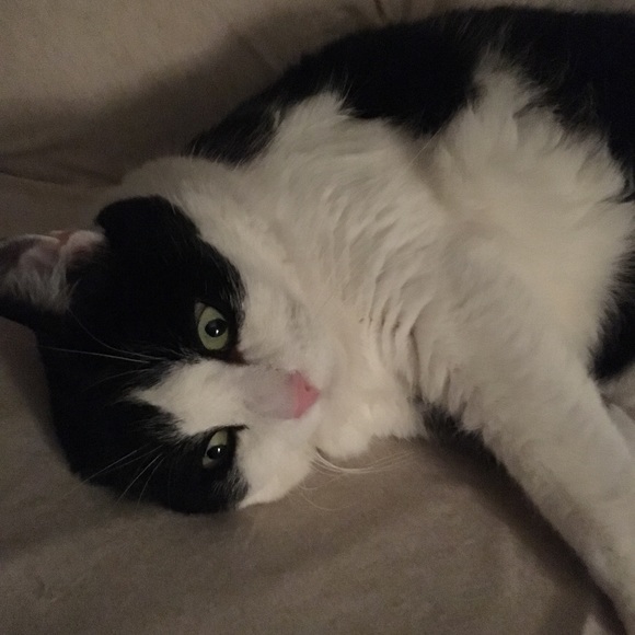 Profile Picture of Sam Bartron (@red0624) on Poshmark