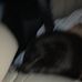 Profile Picture of Kevin Mancera (@kevin.mancera.77) on Facebook