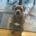 Profile Picture of Michael Warmoth (@michael.warmoth.3) on Facebook