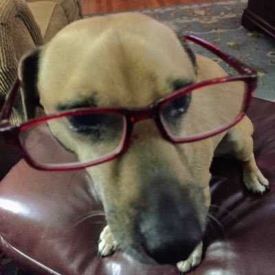 Profile Picture of Hoo_Dog (@EkyteEd) on Twitter