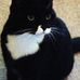 Profile Picture of Opal White (@opal.white.1069) on Facebook