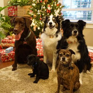 Profile Picture of Carlene Stein (@carlene.stein) on Facebook