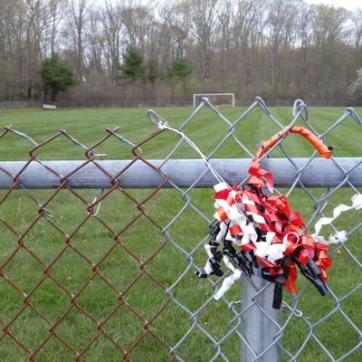 Profile Picture of Joshua Twomey (@twomey_joshua) on Twitter