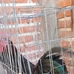 Profile Picture of Carlos Arebalo (@carlos.arebalo.284916) on Facebook