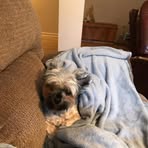 Profile Picture of Joan Beams (@Joan-Beams) on Facebook