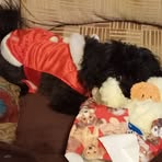 Cheryl Merkel - Facebook Profile Picture of Cheryl Merkel (@cheryl.merkel.71) on Facebook