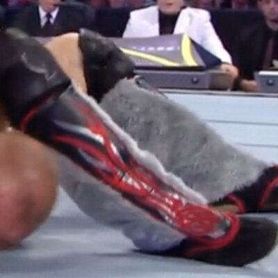 Profile Picture of Daniel Bryan's Boots (@DBryansFurBoots) on Twitter