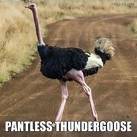 Profile Picture of Chad Messerli (@chad-messerli) on Quora