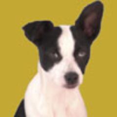 Profile Picture of Guido2 (@GuidoTIM39) on Twitter