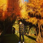 Profile Picture of Alejandro Rueda (@aalexrueda) on Instagram