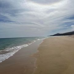 Profile Picture of Bryan Lewis (@bryan.lewis0) on Tiktok