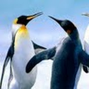 Profile Picture of James Hoskins (@jackhos2) on Youtube