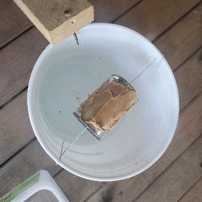 Profile Picture of ERIC J BJERKE (@ERICJBJERKE1) on Twitter