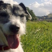 Profile Picture of Barry Starkey (@barry-starkey) on Quora