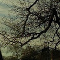 Profile Picture of Hannah Forester (@hannah-forester-5) on Quora