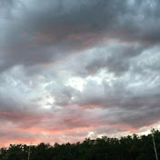 Profile Picture of Cati Dittler (@catidittler9859) on Youtube