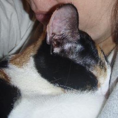 Profile Picture of Lorelei Murphy (@FundOurFosters) on Twitter