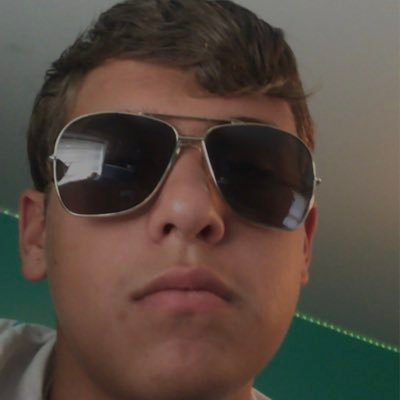 Profile Picture of Andrew Wilk (@vilkenstein) on Twitter