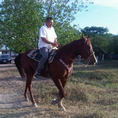 Profile Picture of Pedro Llanes Ramos (@LlanesRamos) on Twitter