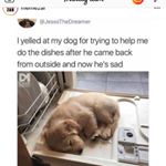 Profile Picture of Tyler Danforth (@danforth610) on Instagram