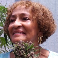 Profile Picture of Jacqueline Ann Quinn (@jacqueline-ann-quinn) on Quora