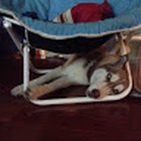 Profile Picture of Andrew Ishmael (@andrew-ishmael-1) on Quora