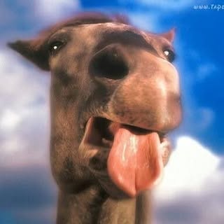 Piotr Bobek - Instagram Profile Picture of Piotr Bobek (@piotr.bobek) on Instagram