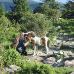 Profile Picture of Joe Palombo (@joe.palombo.5) on Instagram