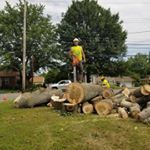 Profile Picture of jason Campbell (@jasoncampbell839) on Instagram