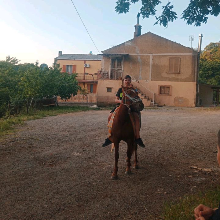 Profile Picture of Thomas Salvati (@thomas_salvati11) on Tiktok