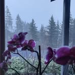 Profile Picture of Scott Royle (@scottxroyle) on Facebook